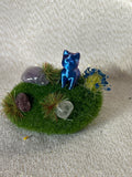 Cat Gardens