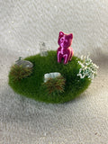 Cat Gardens