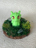 Dragon Gardens