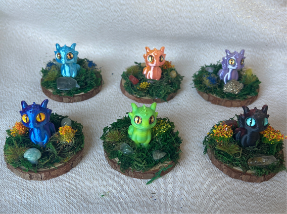 Dragon Gardens
